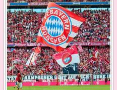 IM体育在线注册-波兰完胜拜仁，恩昆库惊艳世界的简单介绍