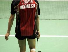 IM体育-印尼羽毛球队鏖战印度羽毛球队，陶菲克统治全场的简单介绍