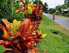 IM体育-马来西亚队翻盘印尼队，辛杜高光表现的简单介绍