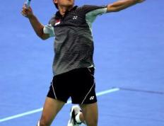 IM体育官方平台-印尼羽毛球队轻取印度羽毛球队，陶菲克高光表现的简单介绍