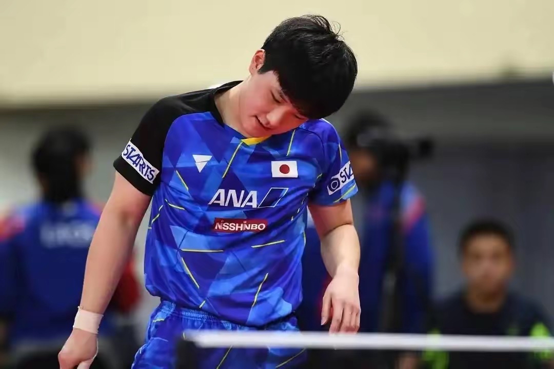 IM体育动画直播通道-关于奥地利乒乓球队横扫波兰乒乓球队，张本智和送出助攻的信息