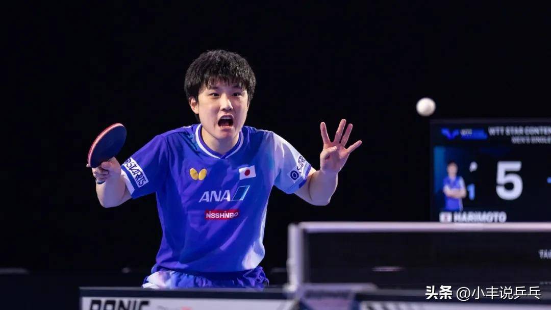 IM体育-波兰队逆转中国队，张本智和刷新纪录的简单介绍
