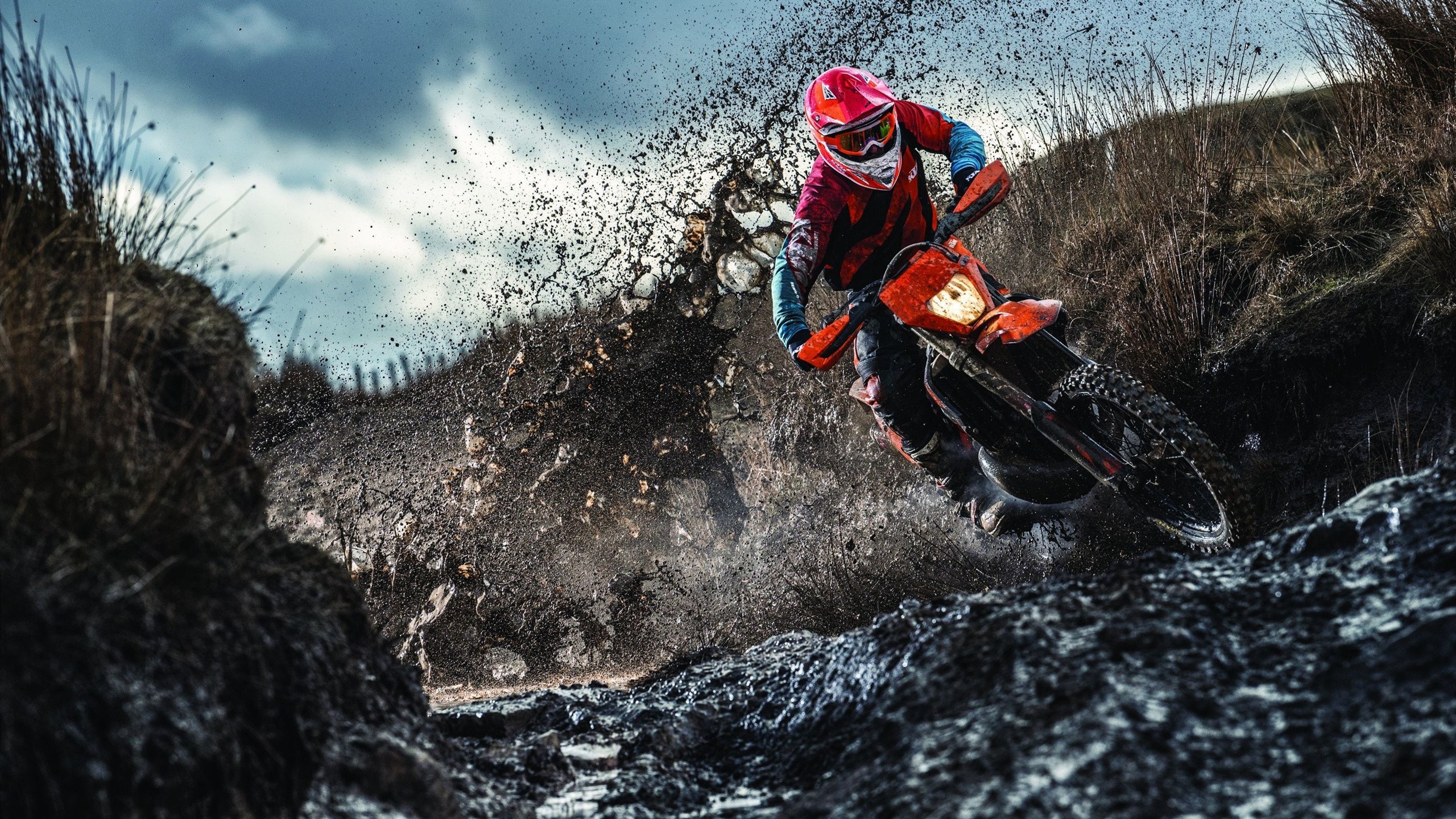 IM体育-公牛关键战突围吉林队，武切维奇成为关键先生